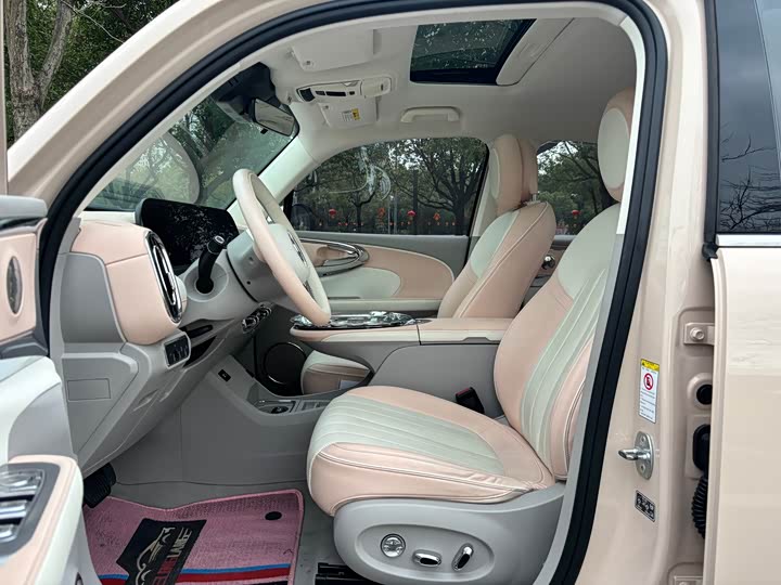 Фото 4 - Ora Ballet Cat