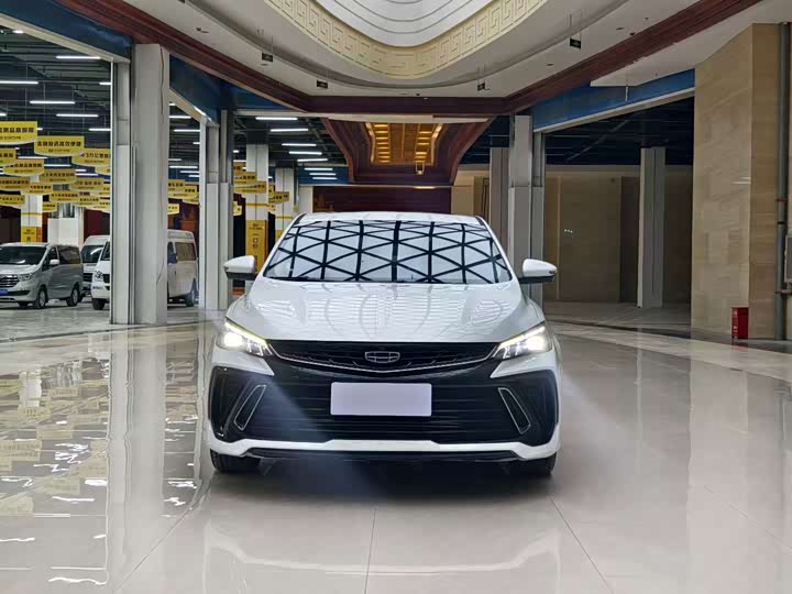 Фото 2 - Geely Binrui