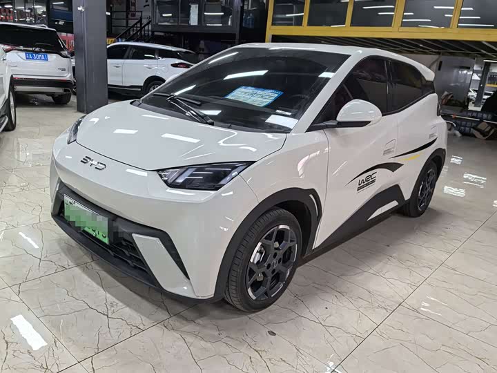 Фото 1 - BYD Seagull