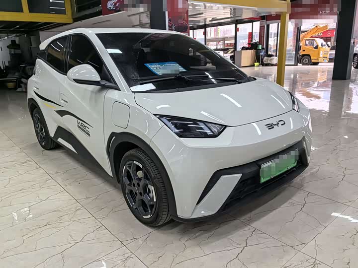 Фото 3 - BYD Seagull