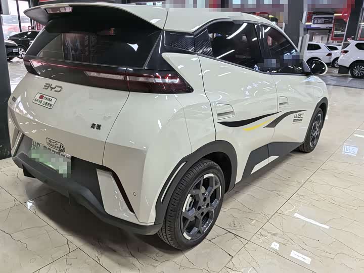 Фото 6 - BYD Seagull