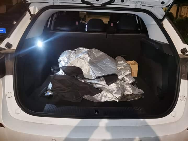 Фото 4 - MG Motor One