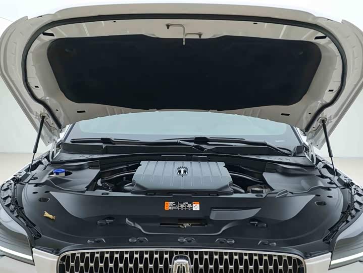 Фото 7 - Lincoln Aviator