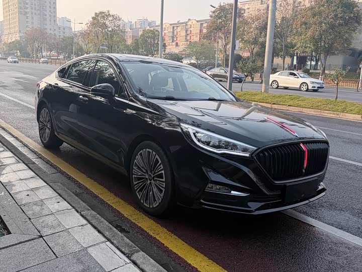 Фото 3 - Hongqi H5