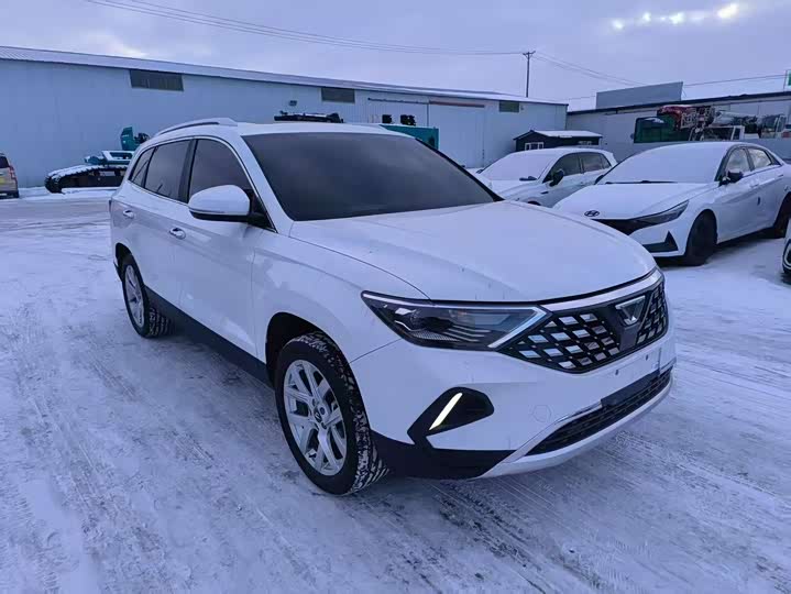 Фото 2 - Jetta VS7