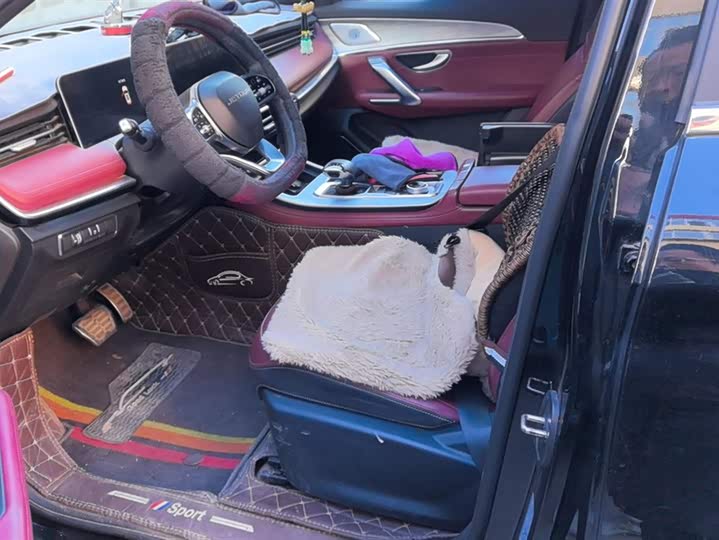 Фото 9 - Jetour X70 Plus