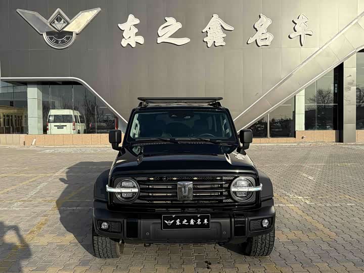 Фото 3 - Tank 300