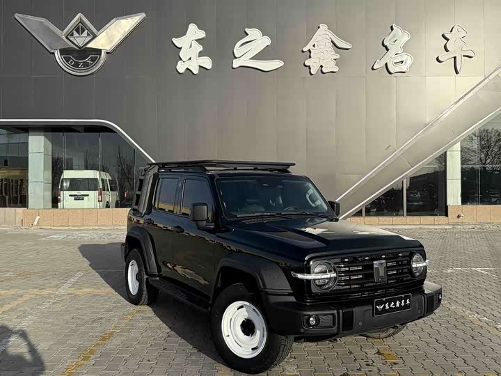 Фото 4 - Tank 300