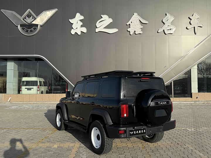 Фото 5 - Tank 300