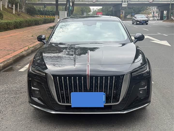 Фото 2 - Hongqi H5