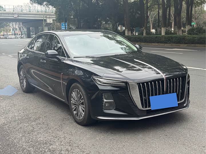 Фото 3 - Hongqi H5