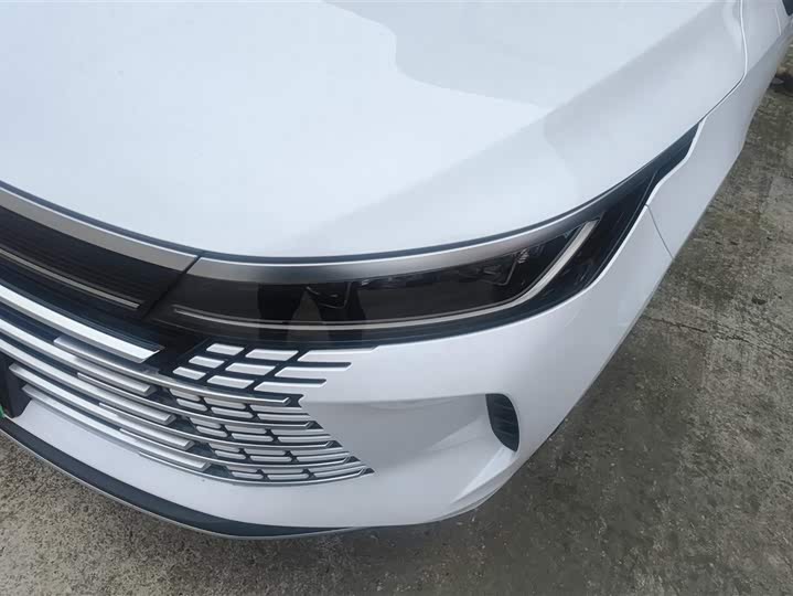 Фото 5 - BYD Destroyer 05