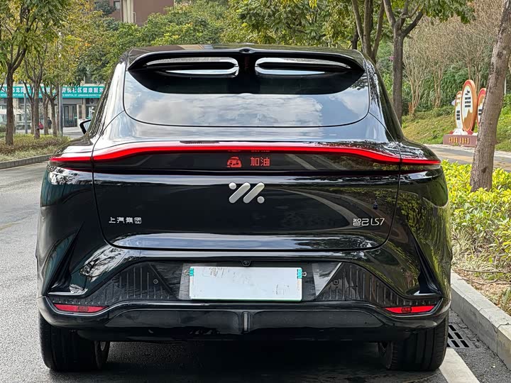 Фото 4 - IM motors LS7