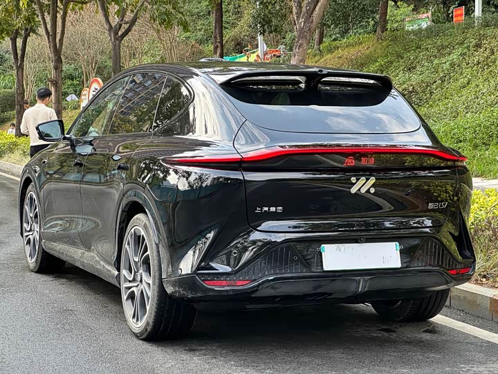 Фото 5 - IM motors LS7