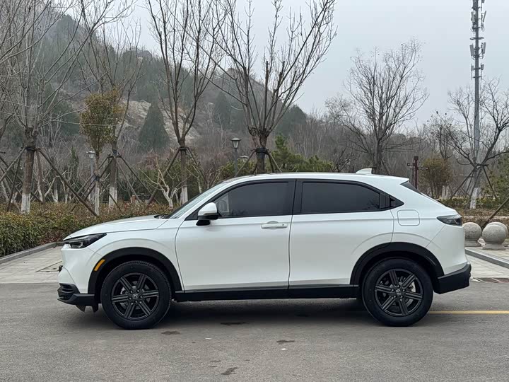 Фото 4 - Honda XR-V