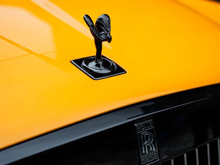 Фото 6 - Rolls-Royce Cullinan