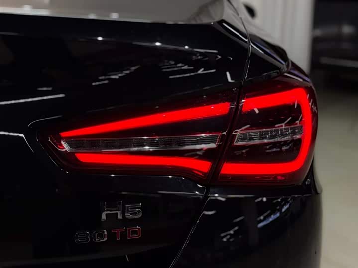 Фото 8 - Hongqi H5