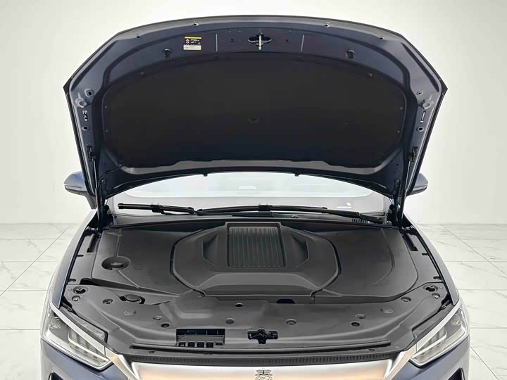 Фото 4 - BYD Qin Plus