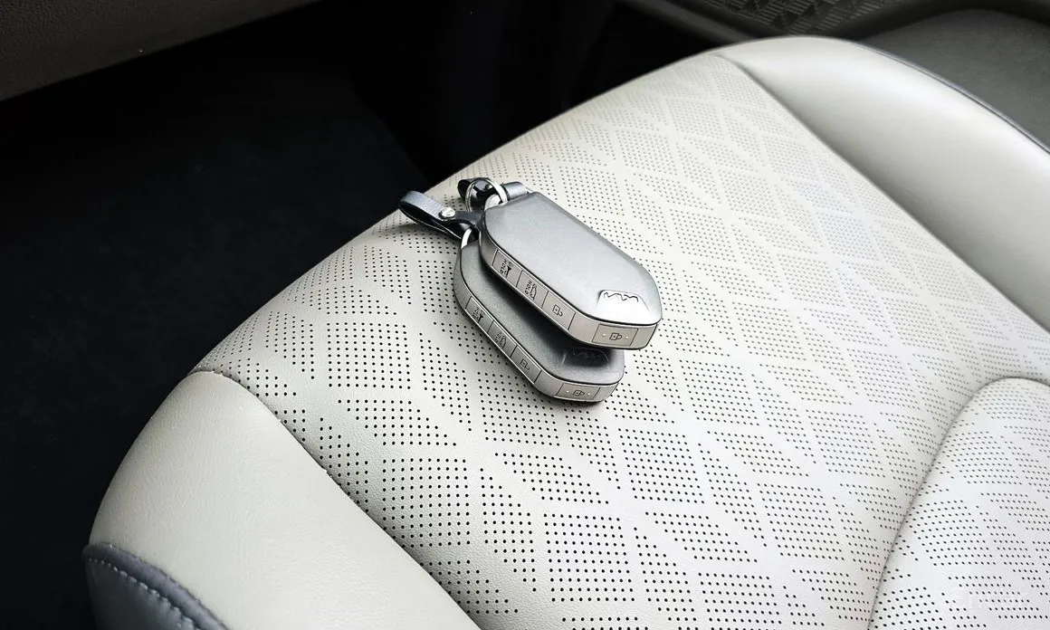 Фото 18 - Kia Carnival