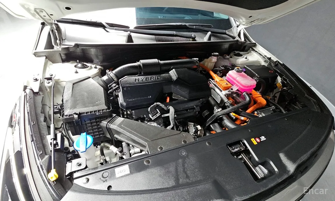 Фото 6 - Kia Sportage