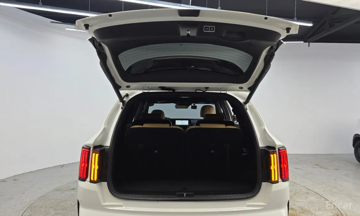 Фото 20 - Kia Sorento