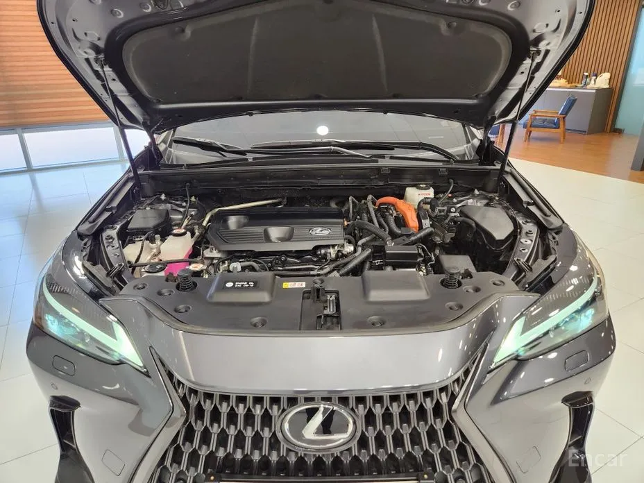 Lexus NX 2022 Premium