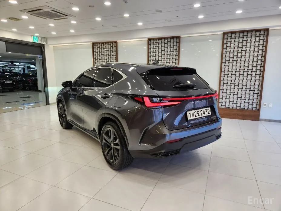 Lexus NX 2022 Premium