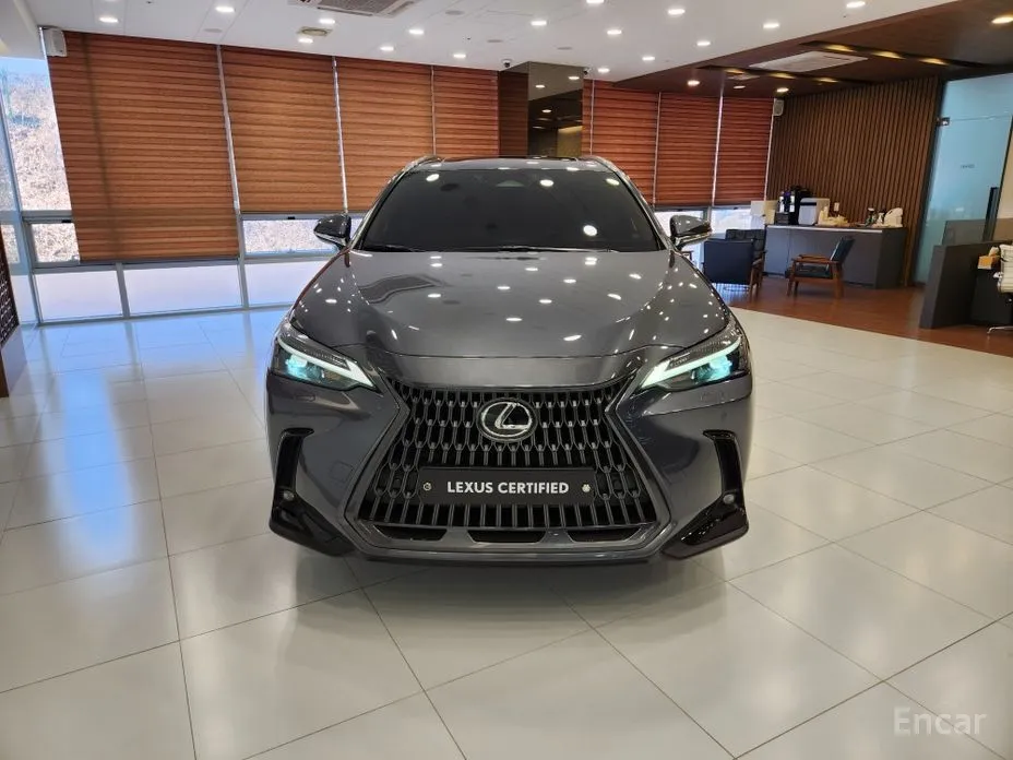 Lexus NX 2022 Premium