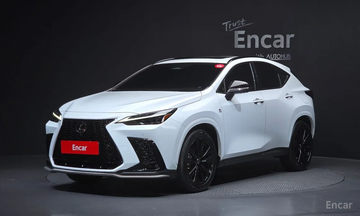 Фото 1 - Lexus NX