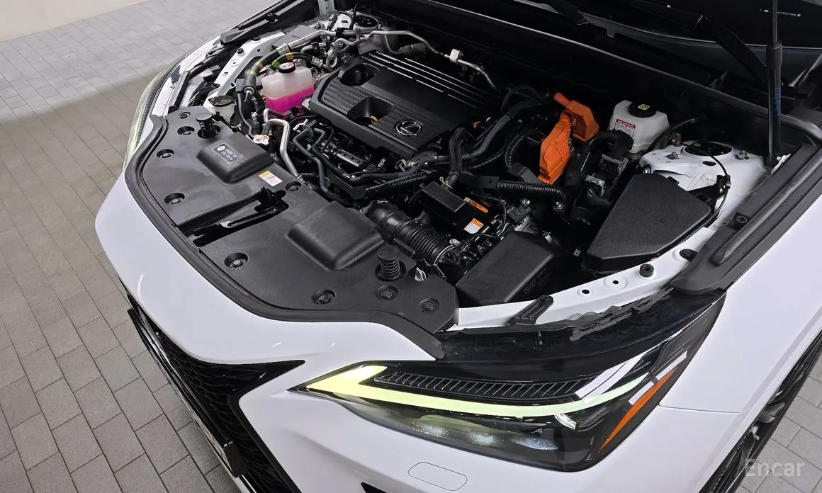 Фото 6 - Lexus NX