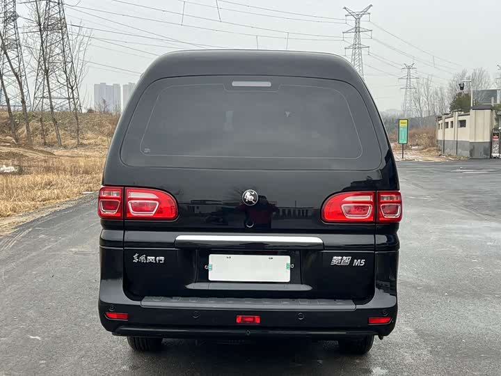 Фото 6 - Dongfeng Forthing Lingzhi M5