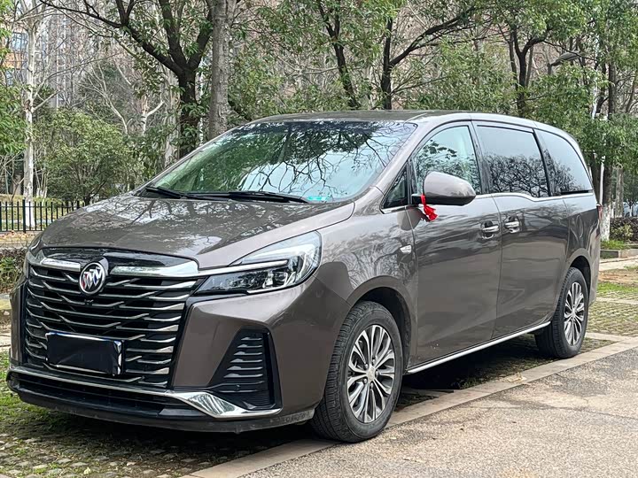 Фото 1 - Buick GL8 ES