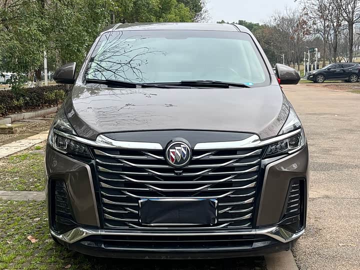 Фото 2 - Buick GL8 ES