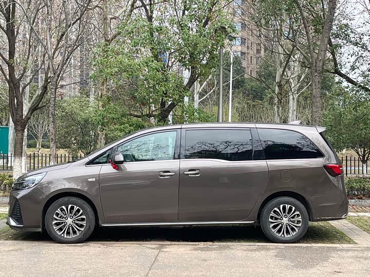 Фото 4 - Buick GL8 ES