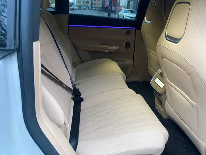 Фото 5 - Exeed Sterra ET