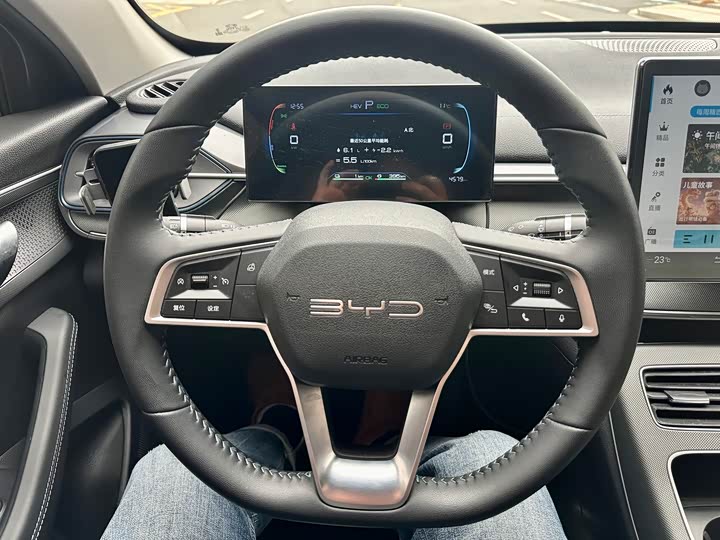 Фото 7 - BYD Destroyer 05