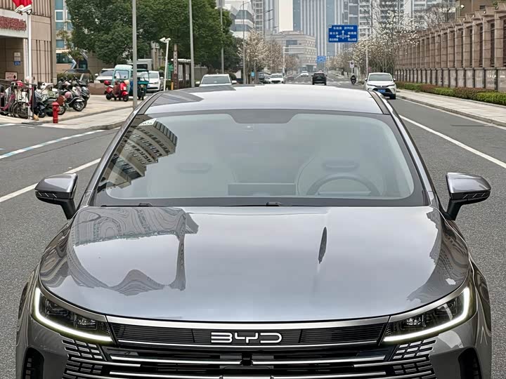 Фото 9 - BYD Destroyer 05