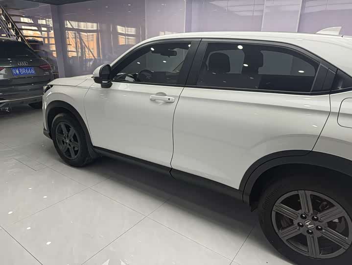 Фото 6 - Honda XR-V