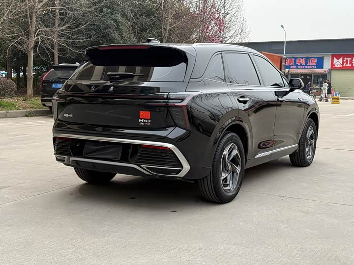 Фото 7 - Hongqi HS3