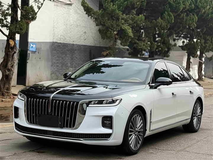 Фото 1 - Hongqi H9