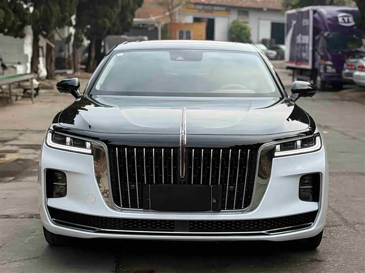 Фото 2 - Hongqi H9