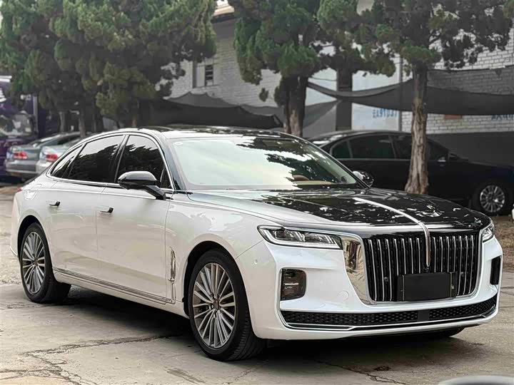 Фото 3 - Hongqi H9