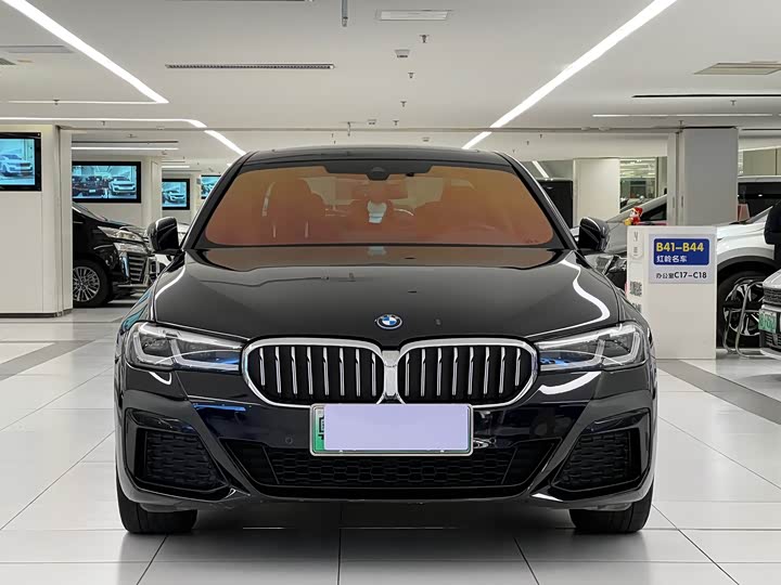 Фото 2 - BMW 5 Series Hybrid