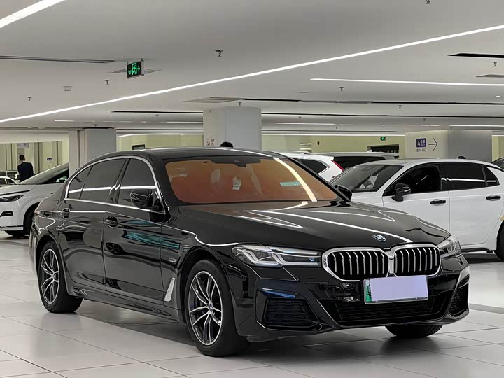 Фото 3 - BMW 5 Series Hybrid