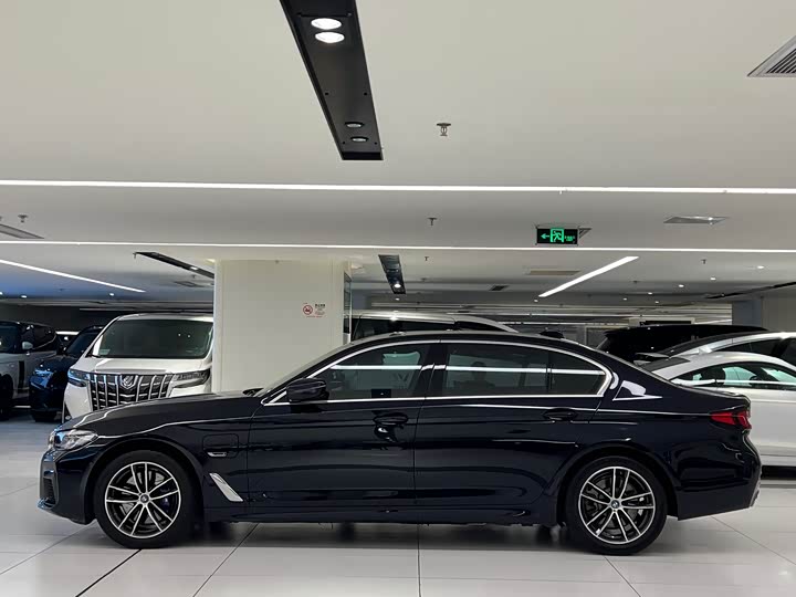 Фото 4 - BMW 5 Series Hybrid