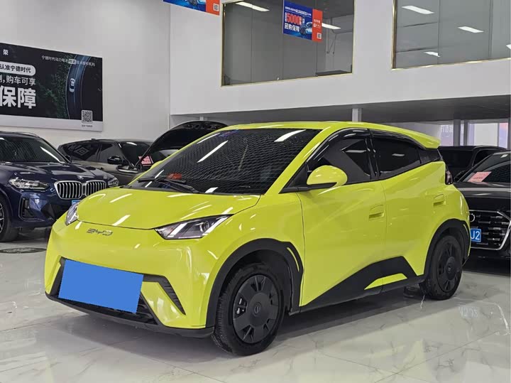 Фото 1 - BYD Seagull