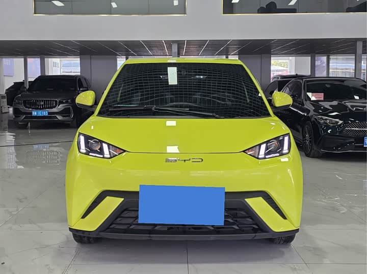 Фото 2 - BYD Seagull