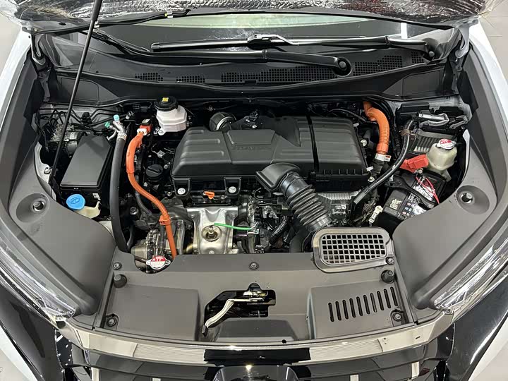 Фото 5 - Honda Elysion