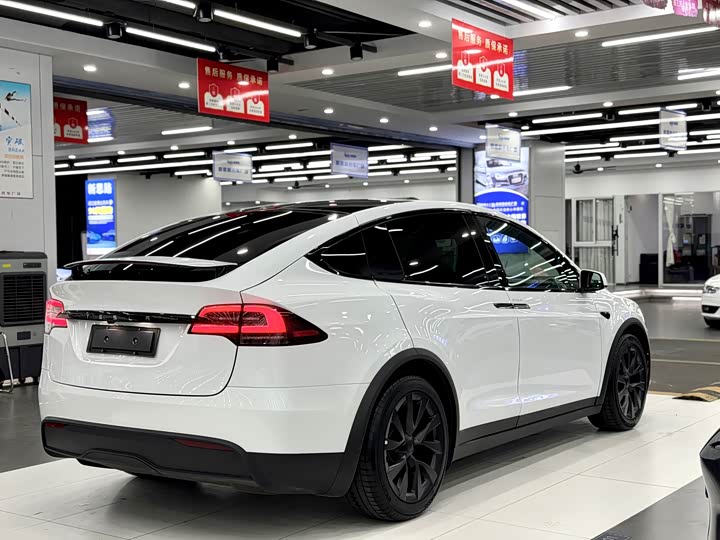 Photo 6 - Tesla Model X
