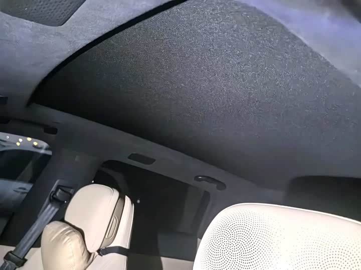 Фото 7 - Exeed Sterra ET